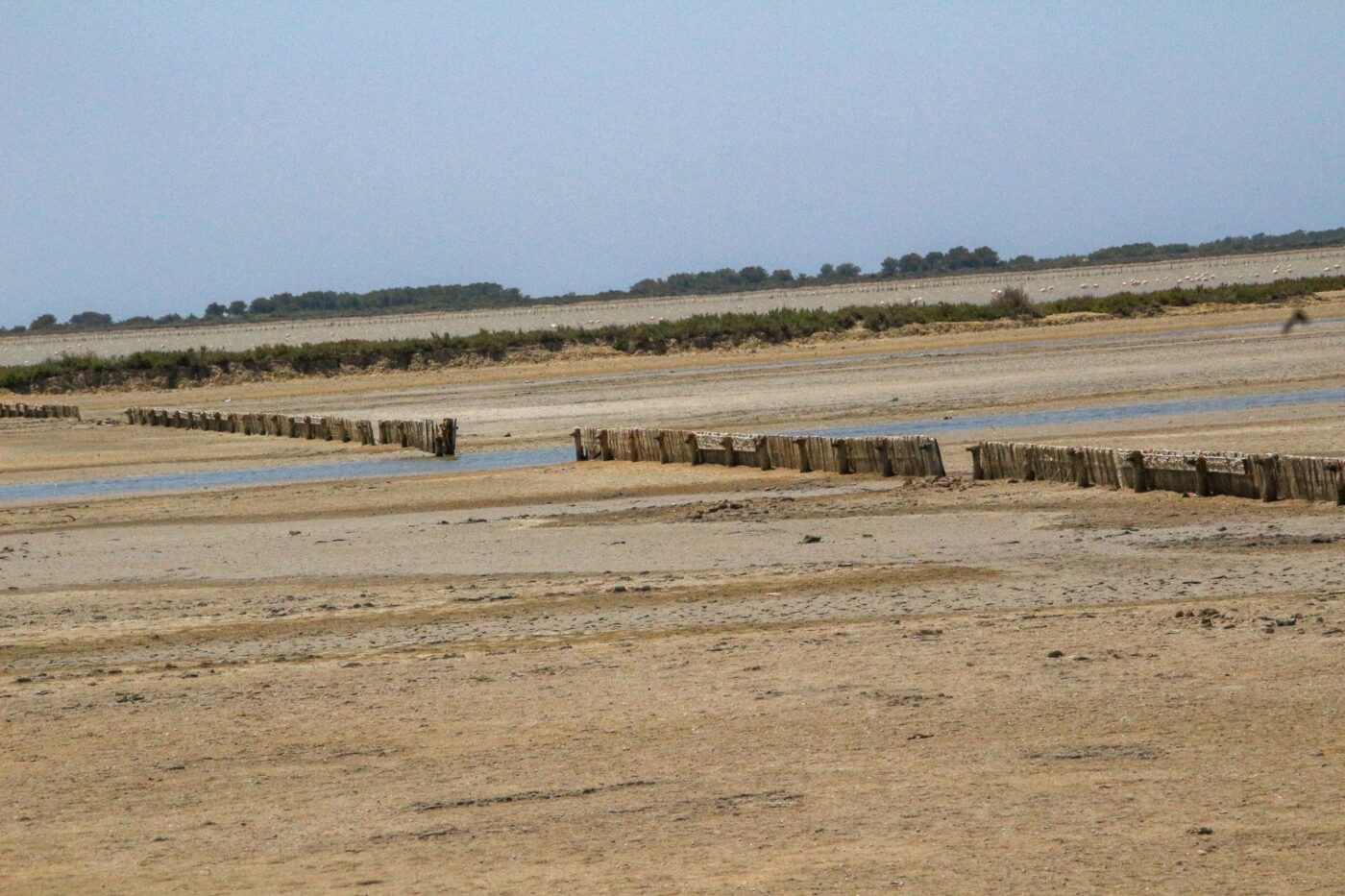 Salt marsh landscape with rows of wooden posts crossing sandy flats and shallow water – coastal wetland scene - nbcreations