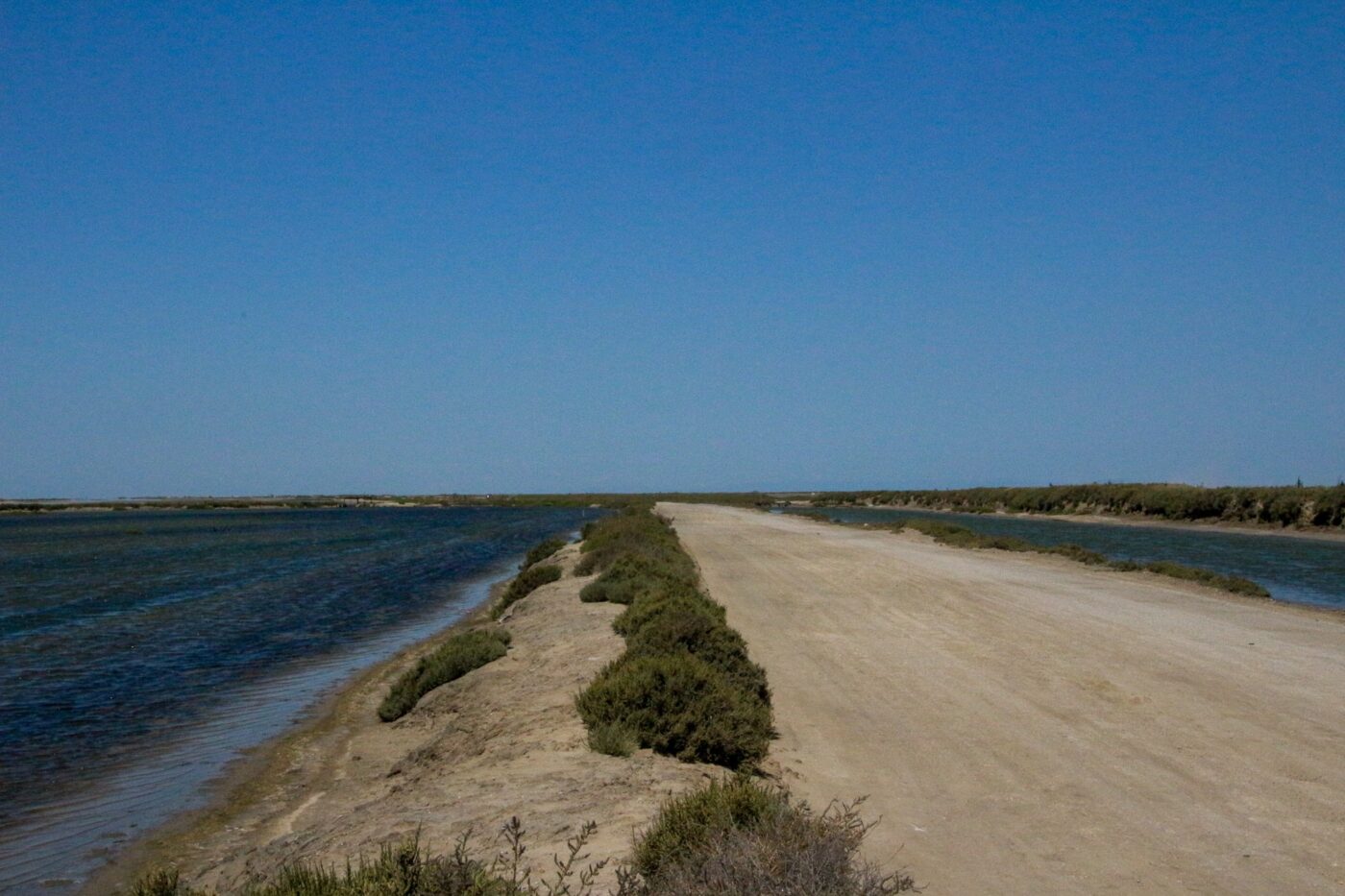 Dirt track between two water channels in a flat, sunlit landscape with low bushes – minimalist wetland scene - nbcreations