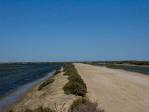 Dirt track between two water channels in a flat, sunlit landscape with low bushes – minimalist wetland scene - nbcreations