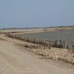 Dirt road alongside a salt marsh bordered by weathered wooden posts and stones – minimalist coastal landscape - nbcreations