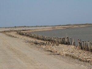 Dirt road alongside a salt marsh bordered by weathered wooden posts and stones – minimalist coastal landscape - nbcreations