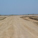 Lonely dirt road curving through a flat, arid landscape with a salt marsh and wooden posts – minimalist coastal scene - nbcreations