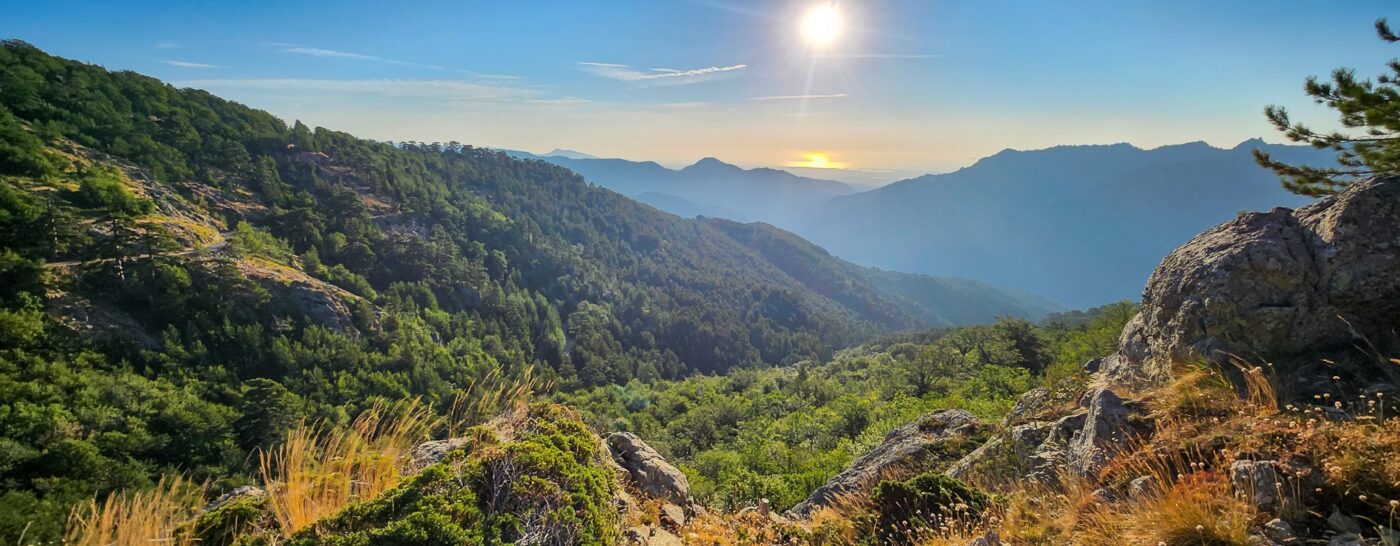 Mountain landscape in the Alps with green valleys and peaks – alpine scenery - nbcreations