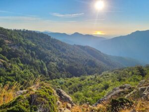 Mountain landscape in the Alps with green valleys and peaks – alpine scenery - nbcreations