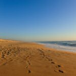 Fine sandy beach with gentle shoreline – minimalist coastal scene - nbcreations