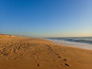 Fine sandy beach with gentle shoreline – minimalist coastal scene - nbcreations