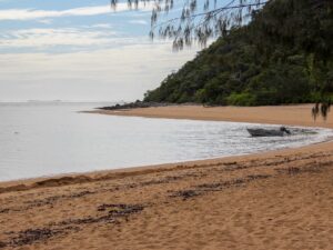 Small fishing boat on calm water with sandy beach and forest in the background – peaceful coastal landscape - nbcreations