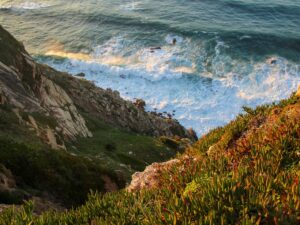 Aerial view of a cliff above the sea – top-down coastal perspective - nbcreations