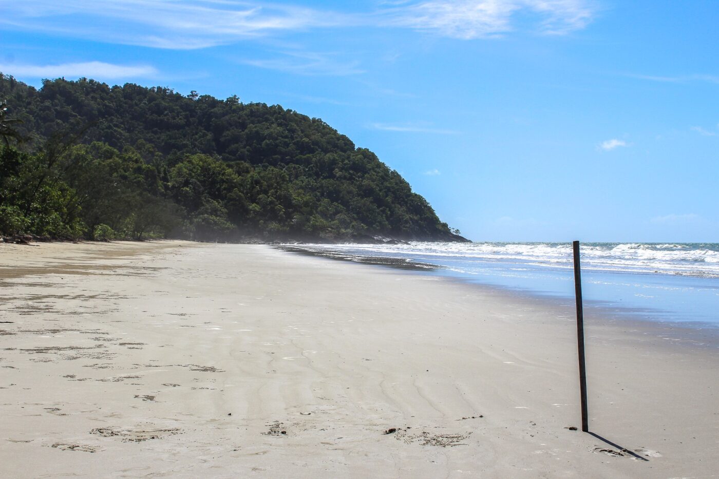 Sandy beach with a stick planted in the foreground and forest in the background – coastal landscape - nbcreations