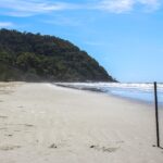 Sandy beach with a stick planted in the foreground and forest in the background – coastal landscape - nbcreations