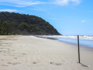 Sandy beach with a stick planted in the foreground and forest in the background – coastal landscape - nbcreations