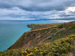 Open ocean with gentle waves and distant coastline under clear sky – tranquil seascape - nbcreations