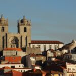Rooftop view of Porto with cathedral in the background and seagull in the foreground looking at the camera – Portuguese cityscape - nbcreations