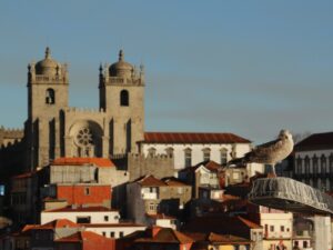 Rooftop view of Porto with cathedral in the background and seagull in the foreground looking at the camera – Portuguese cityscape - nbcreations