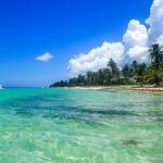 Sandy beach with palm trees in Santo Domingo – tropical Caribbean coast - nbcreations