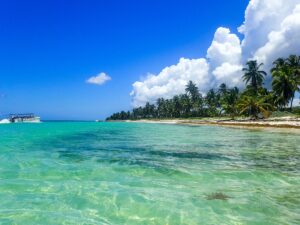 Sandy beach with palm trees in Santo Domingo – tropical Caribbean coast - nbcreations