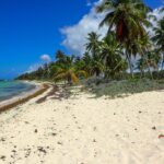 Sandy beach with palm trees in Santo Domingo – tropical Caribbean coast - nbcreations