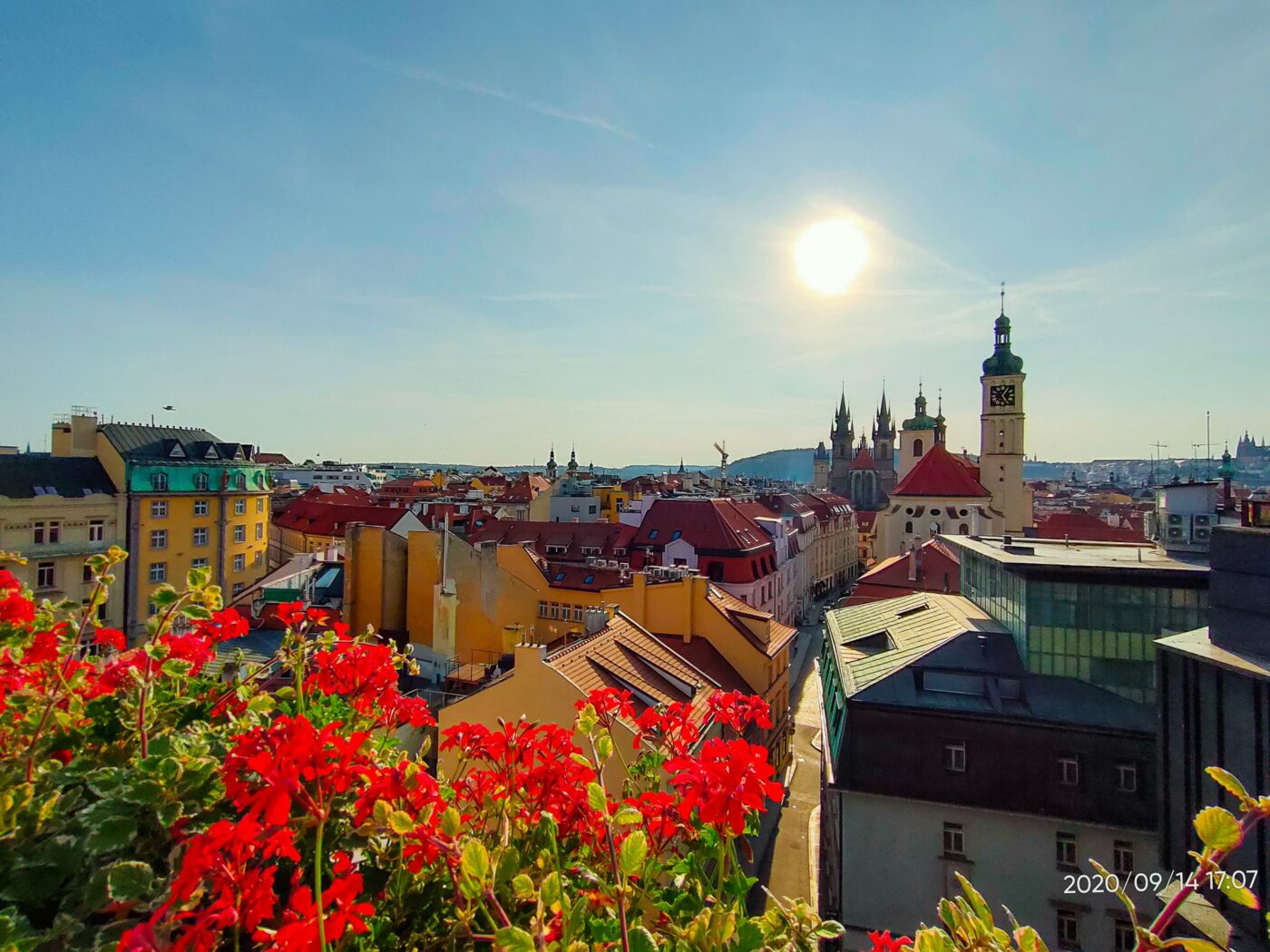 Scenic city skyline with vibrant flowers NBCcréations