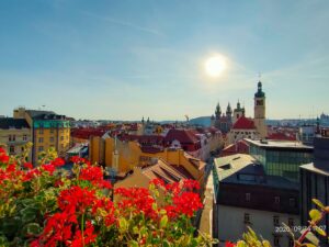 Scenic city skyline with vibrant flowers NBCcréations