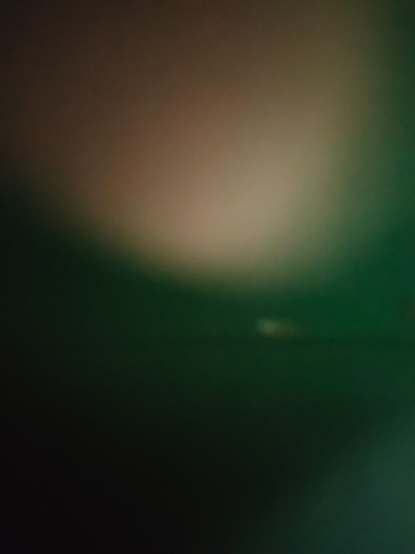 Abstract blurry photo with green and brown tones.- nbcreations