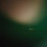 Abstract blurry photo with green and brown tones.- nbcreations