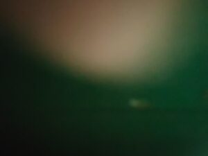 Abstract blurry photo with green and brown tones.- nbcreations