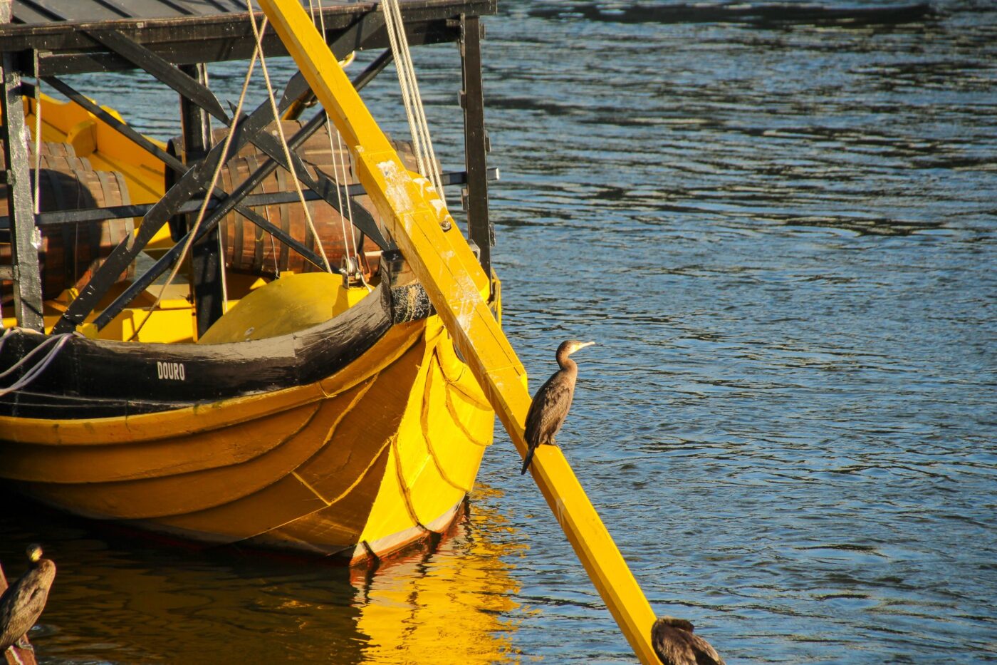 Yellow boat with cormorant by the water nbcreations