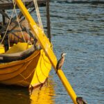 Yellow boat with cormorant by the water nbcreations